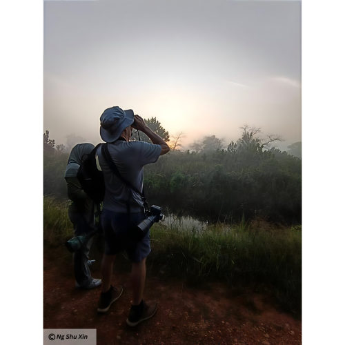 Bird counting in the PPRP project area.