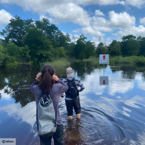 Biodiversity monitoring in peat swamp forest.