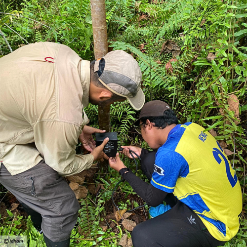Camera trap Installation.