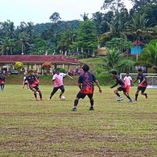 Promoting an active and healthy lifestyle through village sports tournaments.