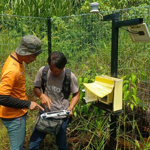 Data extraction at one of the project site permanent weather stations.