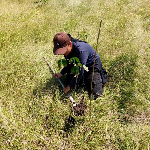 Field data collection to assess hydrological conditions and support restoration strategies.
