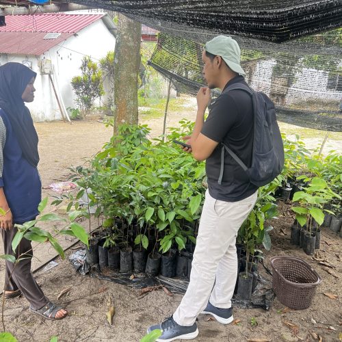 Collaboration with local communities in managing nurseries and supporting restoration activities.