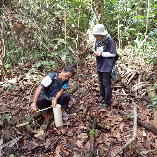 Hydrological monitoring station supporting continuous observation of peatland conditions.