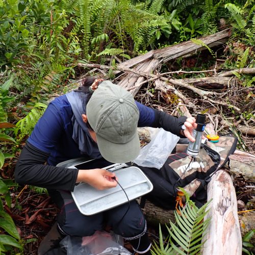 Field data collection to assess hydrological conditions and support restoration strategies.