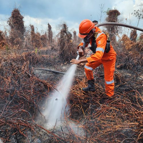 Active peat fire suppression using specialised equipment to reduce fire risk and carbon loss.